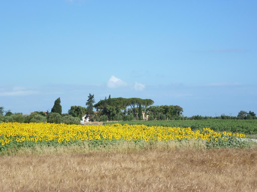 Casa Vacanze Vignarca - Localita Perelli Pensionat Riotorto Exteriör bild